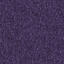 Op zoek naar tapijttegels van Interface? Heuga 727 in de kleur Purple is een uitstekende keuze. Bekijk deze en andere tapijttegels in onze webshop.